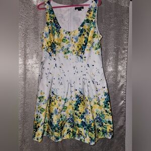 Size 14 Ralph Lauren  Women's Floral Watercolor Fit And Flare